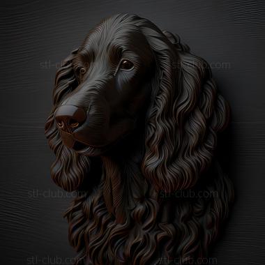 3D model st Irish Water Spaniel dog (STL)